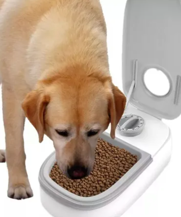 Comedero Automático Doble para Mascotas con Temporizador — 2 Puestos de Alimentación