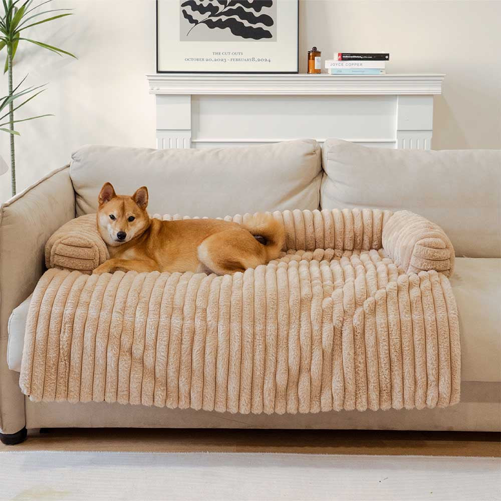 Combo Corral Plegable y Cama Suave para Mascotas - vista principal