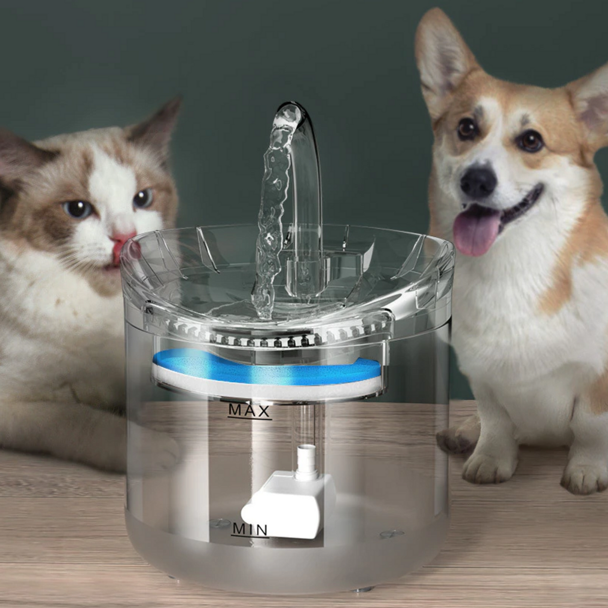 Fuente Bebedero Automático para Gatos - Agua en Circulación - vista frontal