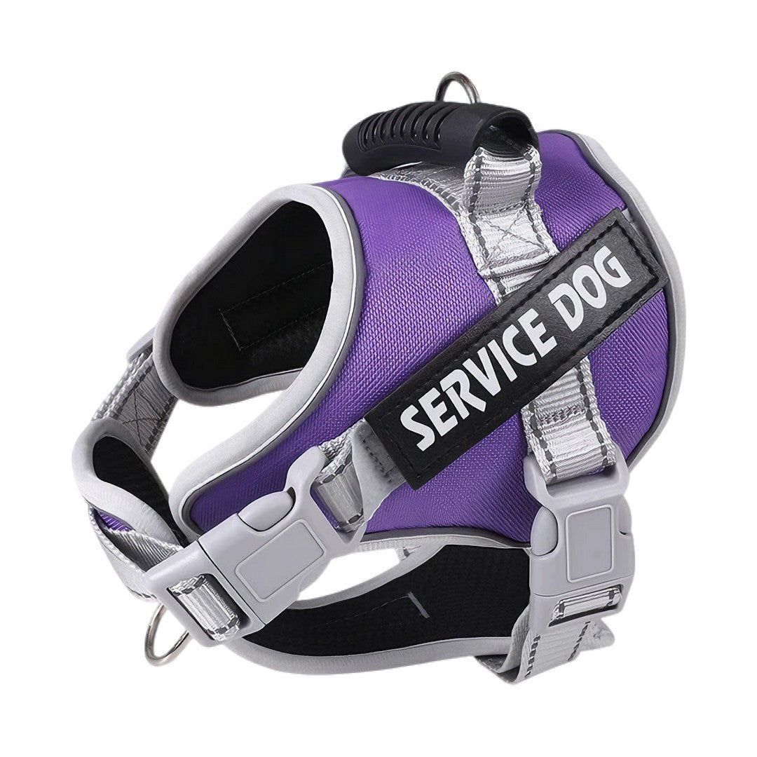 Arnés Pechera Ergonómico Pro-Safety para Perros: Control y Comodidad en Cada Paseo