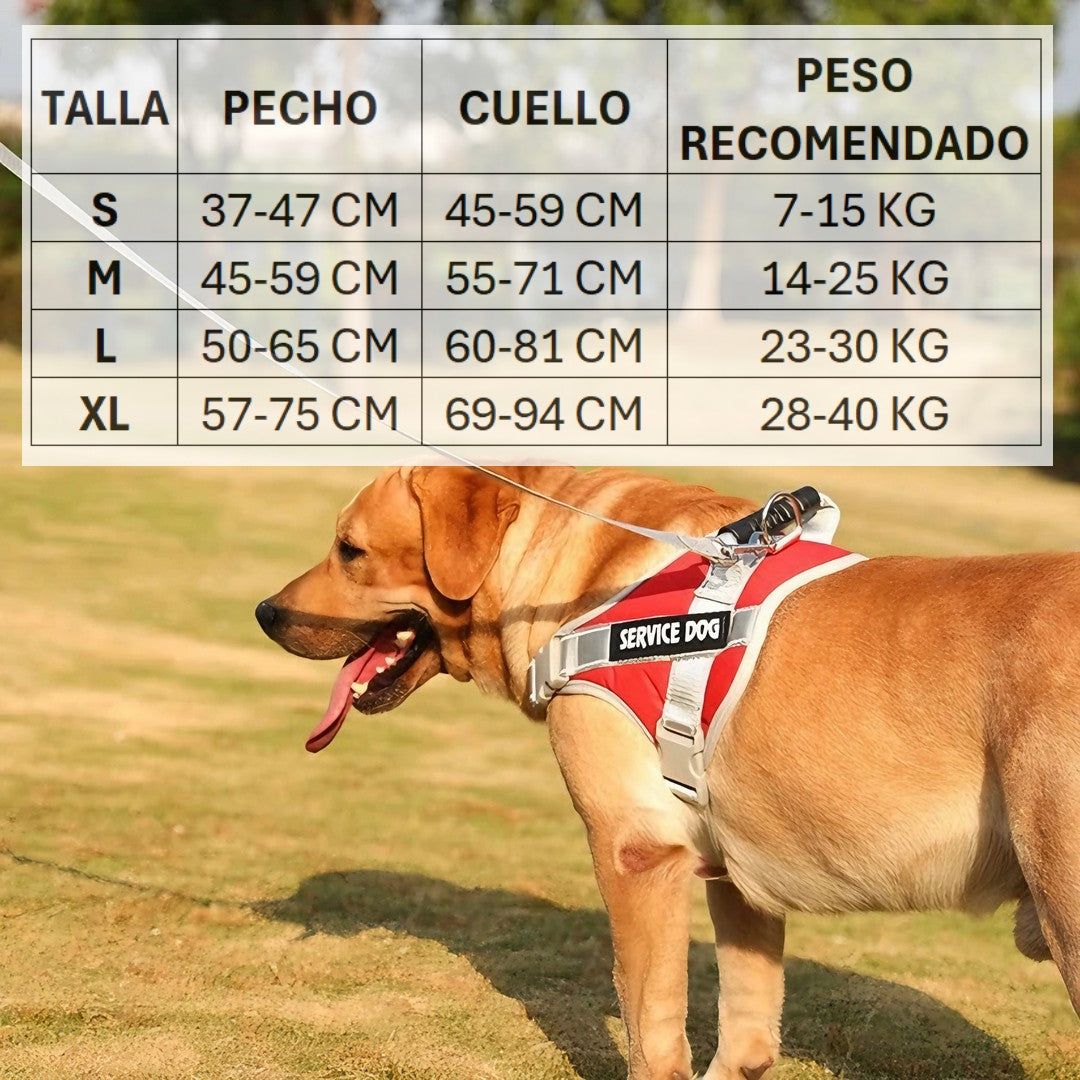 Arnés Pechera Ergonómico Pro-Safety para Perros: Control y Comodidad en Cada Paseo