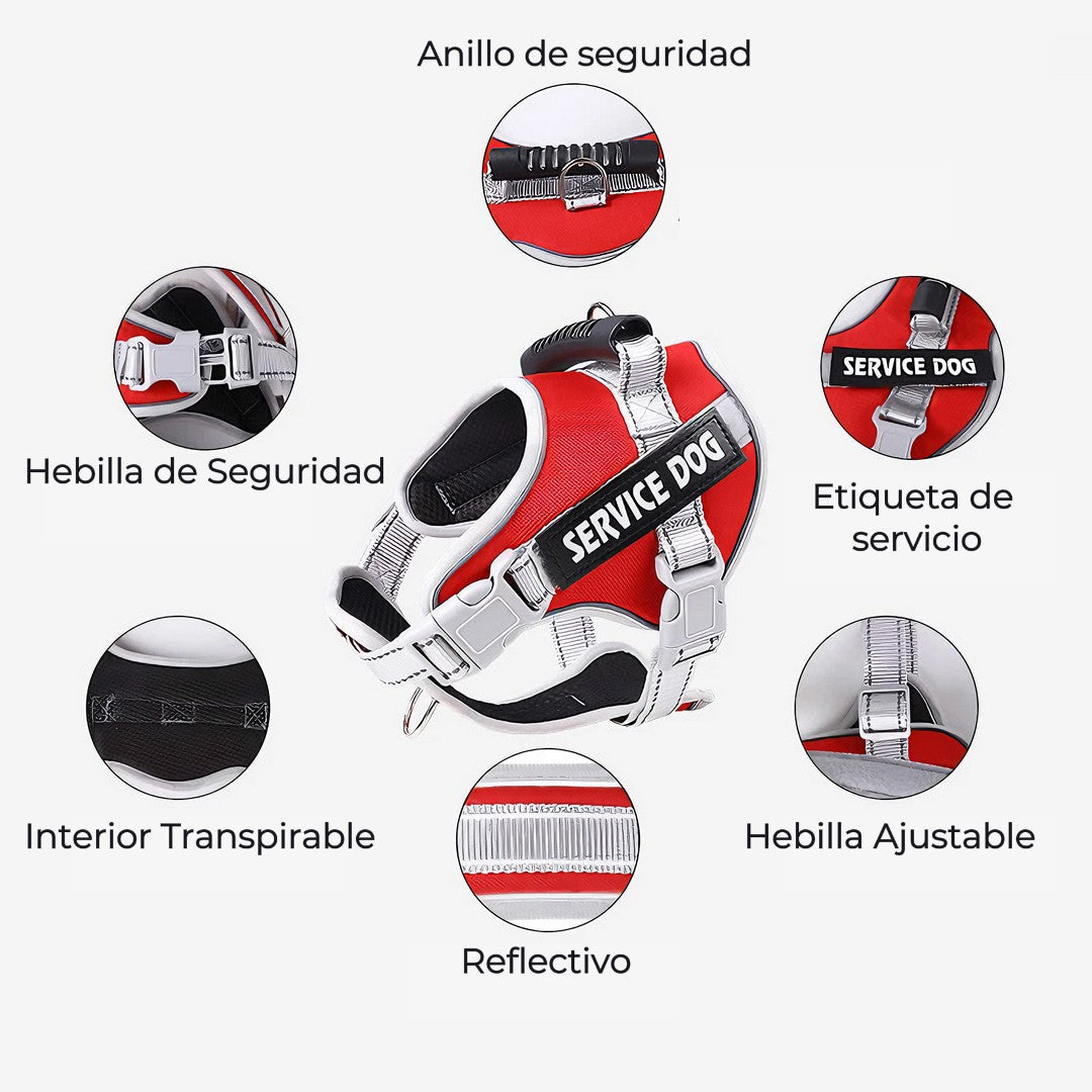 Arnés Pechera Ergonómico Pro-Safety para Perros: Control y Comodidad en Cada Paseo
