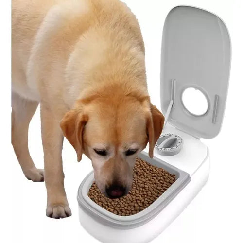 Comedero Temporizado Automático 2 Puestos — Alimenta a tu mascota a la hora justa