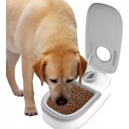 Comedero Temporizado Automático 2 Puestos — Alimenta a tu mascota a la hora justa