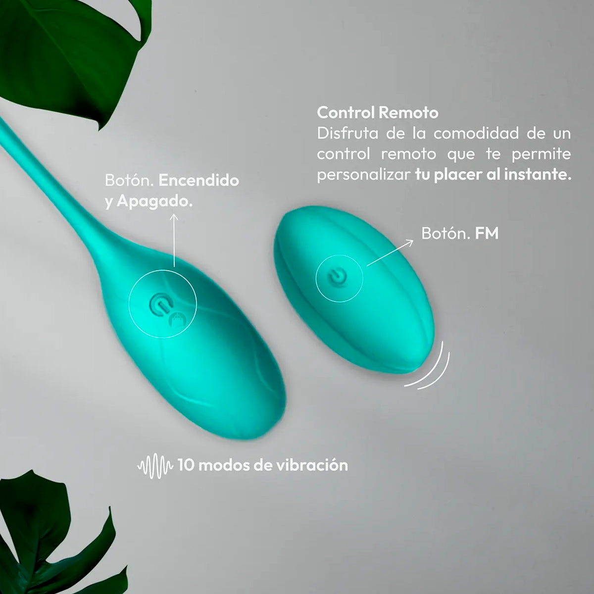 Huevo Vibrador Punto G Recargable - detalle