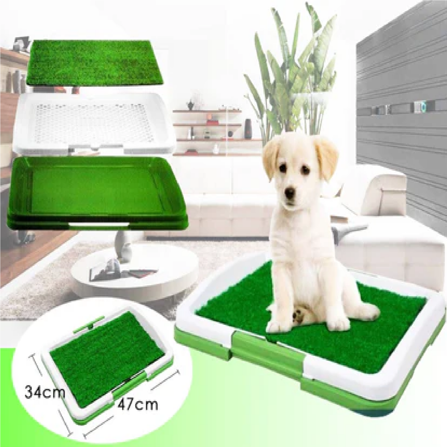 Tapete Entrenador de Baño para Perros con Césped Artificial — Base Antideslizante