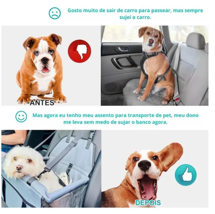 Silla de Carro Portátil para Mascotas — Asiento Elevado con Estructura de PVC