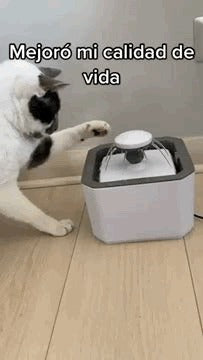 Fuente De Agua Automática Para Mascotas - vista principal