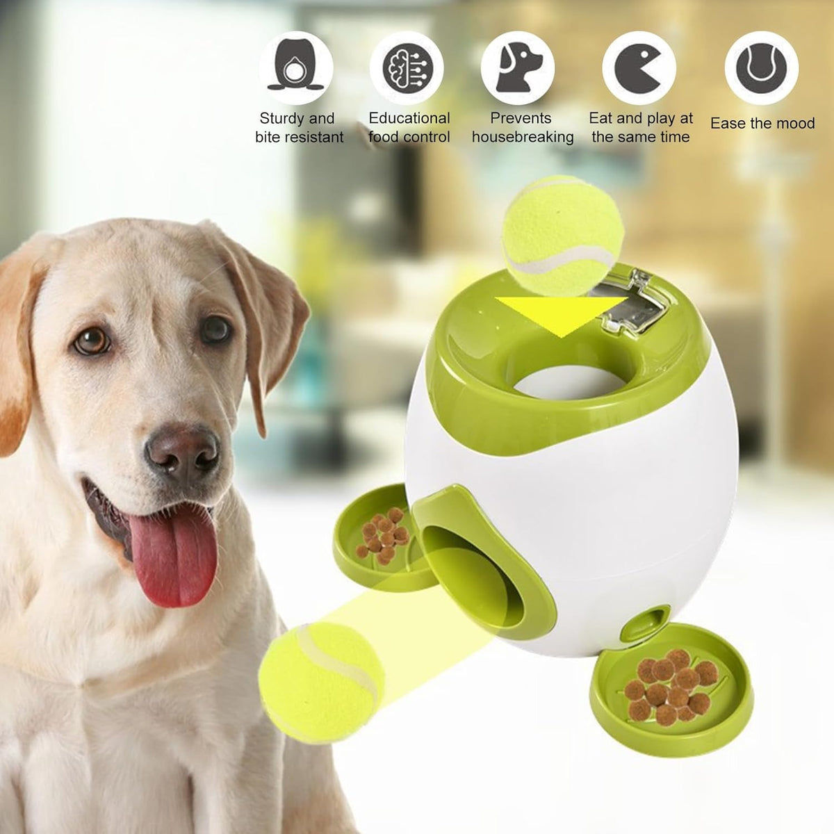 Dispensador Interactivo de Pelota para Perros - Juego - vista principal