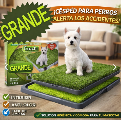 Baño para Perros Tipo Césped Artificial