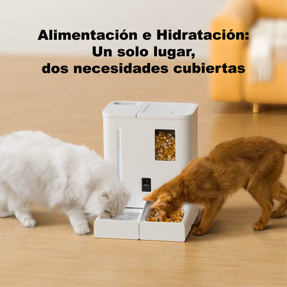 Alimentador Inteligente 2en1 Con Cámara - vista alternativa