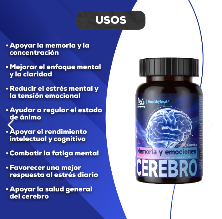 CEREBRO MEMORIA Y EMOCIONES