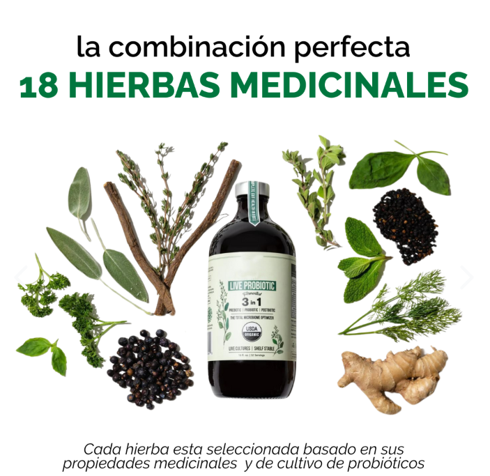 LIVE PROBIOTIC - SALUD DIGESTIVA