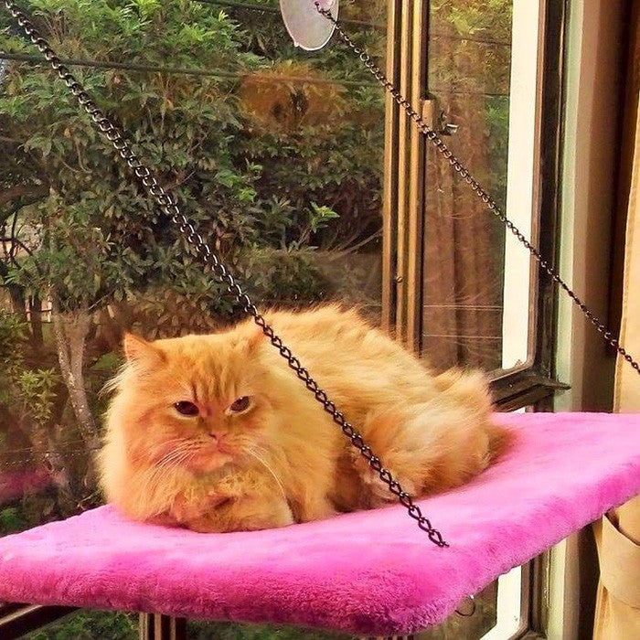 Cama De Gato para Mascotas - vista principal