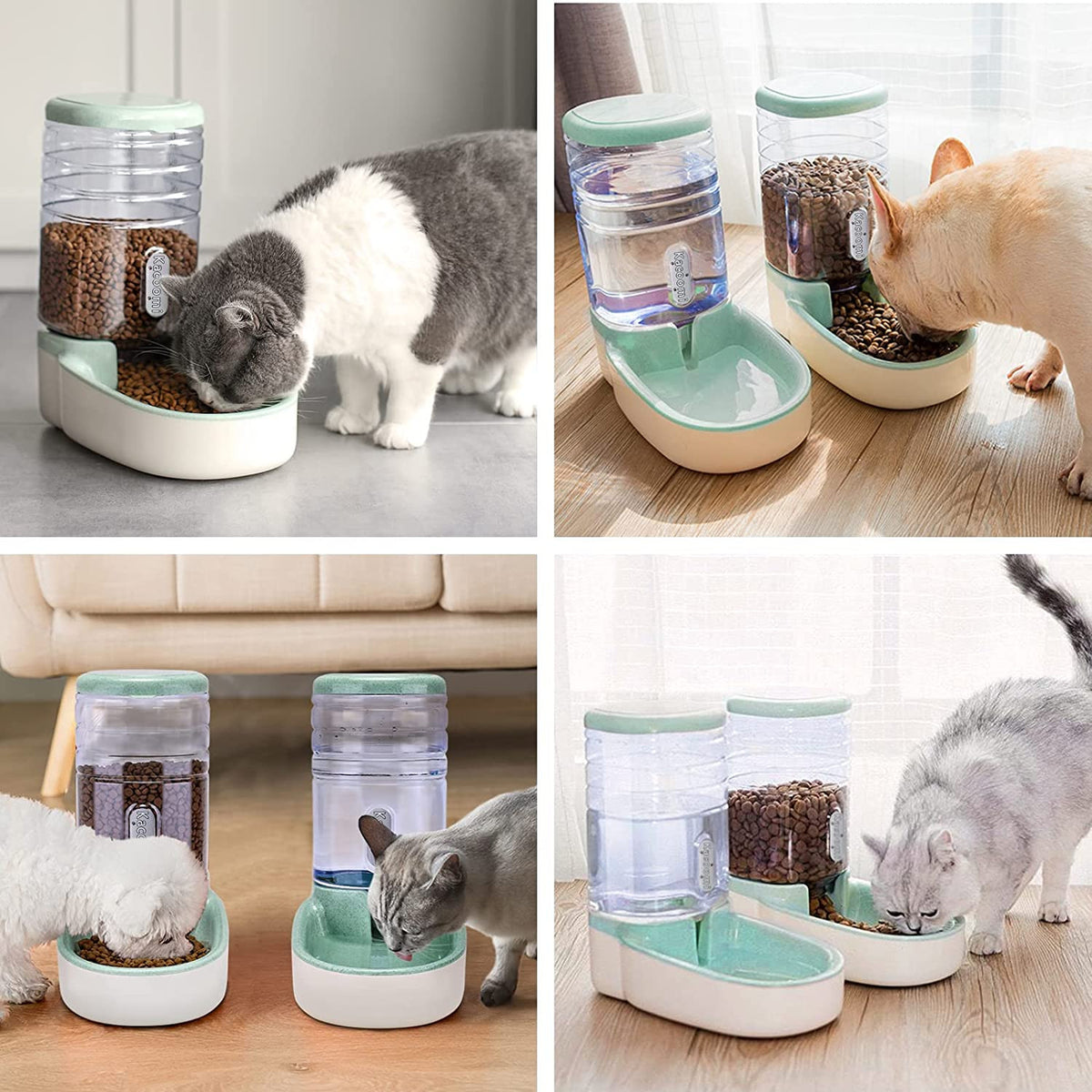 Dispensador Automático de Alimento para Mascotas - vista frontal